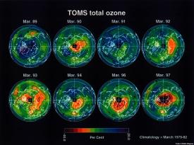 TOMS total ozone decline